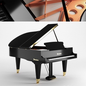 Bosendorfer Piano 200