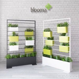 Blooma Vegetal Divider