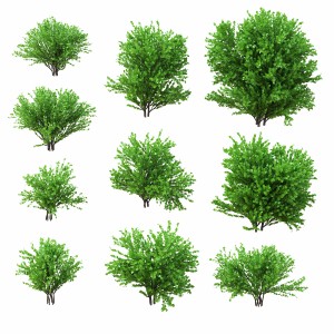 A Set Of Bushes. 10 Models. V2