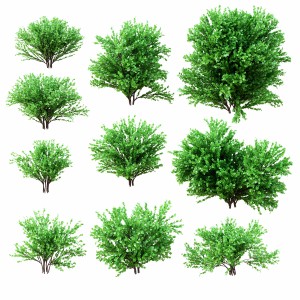 A Set Of Bushes. 10 Models