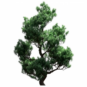 Decorative Pine Tree