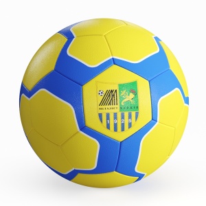 Soccer Ball