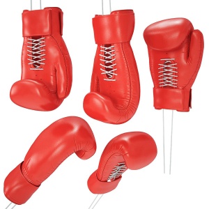 Boxing Glove