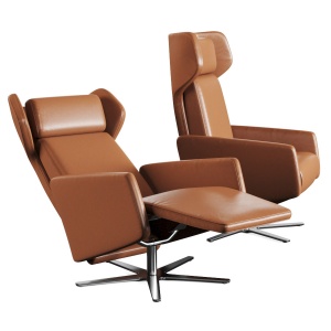 Armchair Nano Ohrensessel