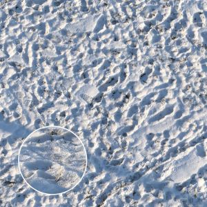 Grass Under Snow (material)