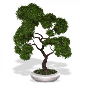 Decorative Ornamental Tree Plant 02