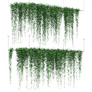 Ivy Hanging On Grid For Ceiling - 2 Models