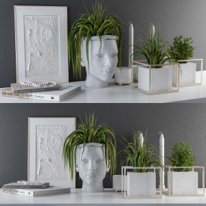 Decorative Set Sculpt Pot And Plants