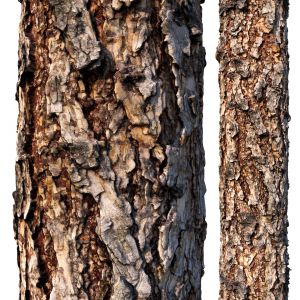 Pine Bark Material