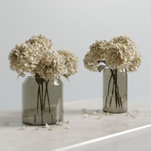 Dried Hydrangeas