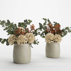 Hydrangeas Pot Set