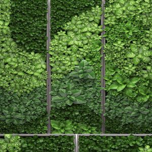 Vertical Gardening Phytowall, eco design