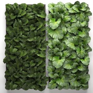 Vertical Gardening  phytomodule, eco, wall decor