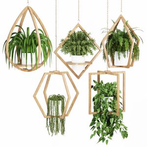 Hanging Pot Collection 002