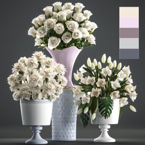 Set of white flower bouquets roses, tulips