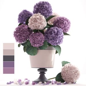 Bouquet Of Hydrangea