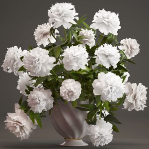 Bouquet White Peonies, spring flowers