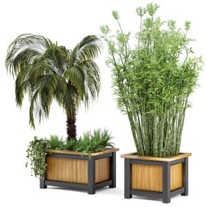 Outdoor Plants In Wooden Pots - Set 35