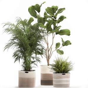 Plants In Fabric Baskets For Decoration 1092