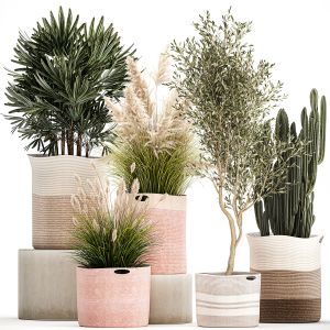 Plants In Fabric Baskets For Decoration 1093