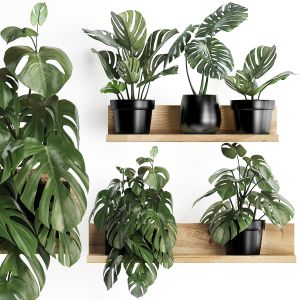 Plant Set Wall Decor Vertical Garden 403 Monstera