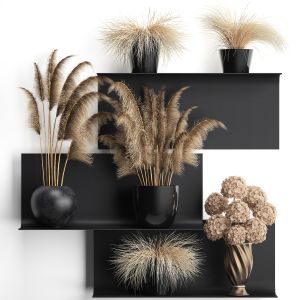 Collection Of Dried Flowers In Vases