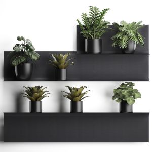 Plant Set Wall Decor Vertical Garden 50