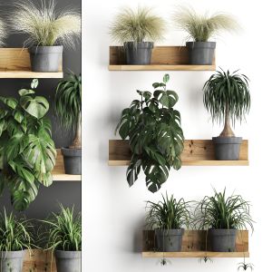 Plant Set Wall Decor Vertical Garden 48