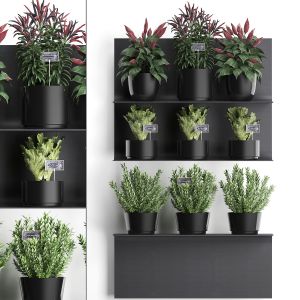 Plant Set Wall Decor Vertical Garden 51