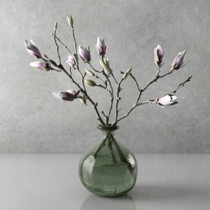 Magnolia In Vase