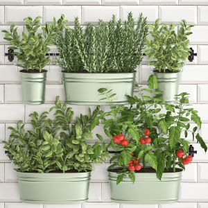 Decorative Plants For The Kitchen On Railing 382