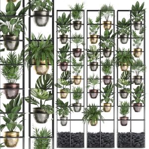 Plants Collection Vertical Gardening 27