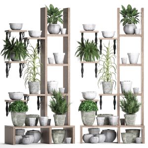 Plants Collection Vertical Gardening 28 3