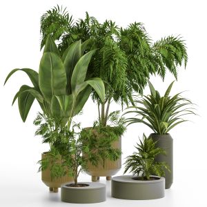 Indoor_plant_vol_30