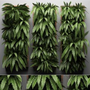 Vertical Gardening Fern Wall 30