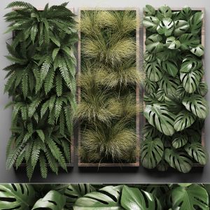 Vertical Gardening Fern Wall 29