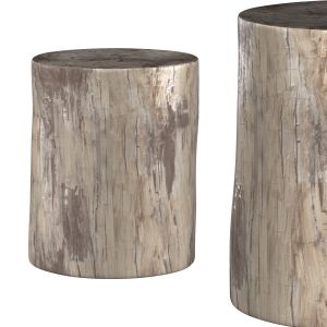 Petrified Stump Side Table