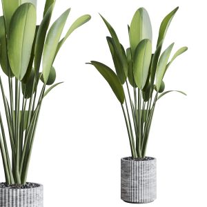 Indoor Plant 337 Marble Dirt Vase