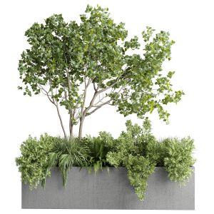 Outdoor Plant Box 146 Garden Concrete Dirty Box Po