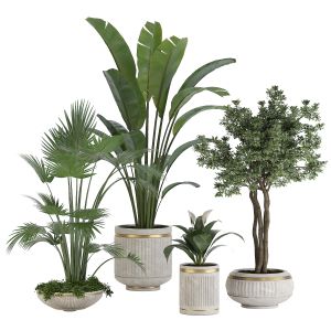 Indoor Plant Set 01