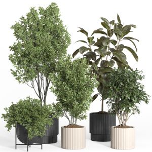 Indoor Plant Set 44-stone Pot