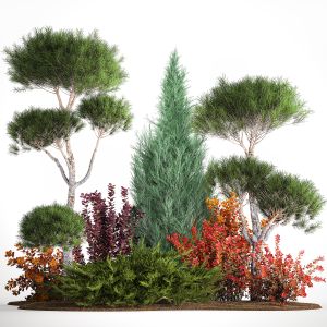 Garden Of Niwaki Thuja Juniper And Barberry