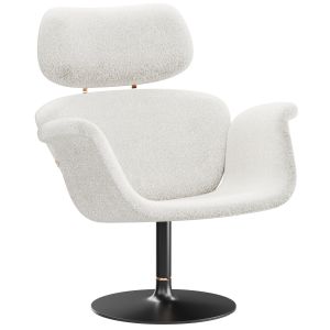 Tulip Chair From Artifort