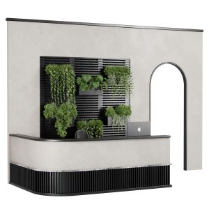 Reception Desk And Wall Plant Office Furniture 10