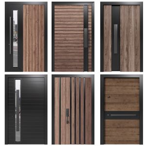 Entrance Door Collection No5