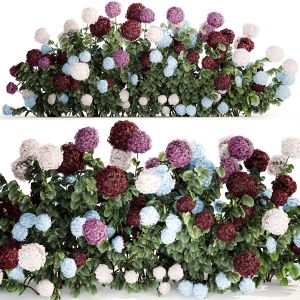 Hydrangea Bushes For Garden Landscaping