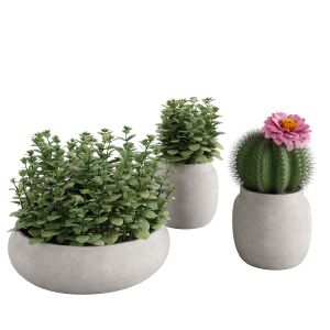 Set Ronan Ficonstone Indoor Vs Outdoor Planters Sm