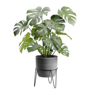 Monstera Deliciosa Pot Stand