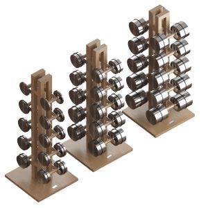 Dumbbell Set