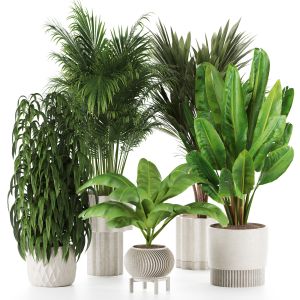 Indoor Plants In Rusty Concrete Pot - Set-86